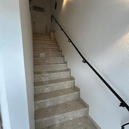 Kiebitznest